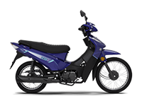 ZB 110 ST